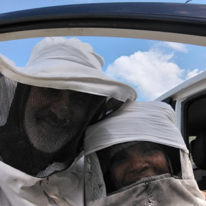 Mel em itacaré na bahia silvestre orgânico e puro direto do produtor Bahia