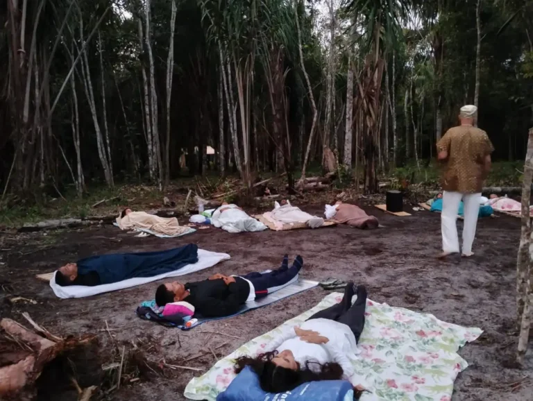 ayahuasca na bahia brazil,