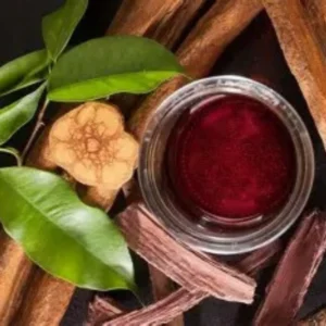 RETIRO AYAHUASCA BRASIL- RETREAT IN THE JUNGLE AYAHUASCA RETREAT