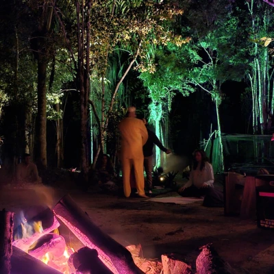 retiro ayahuasca in the jungle