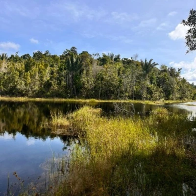 spiritual awakening retreat brazil
