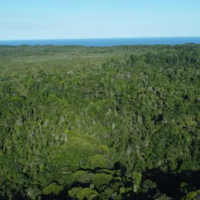 Authentic Brazilian Shamanic Healing Retreat massagem Itacaré Bahia