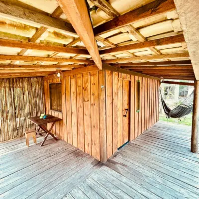 Authentic Brazilian Shamanic Healing Retreat- spirit vine ayahuasca