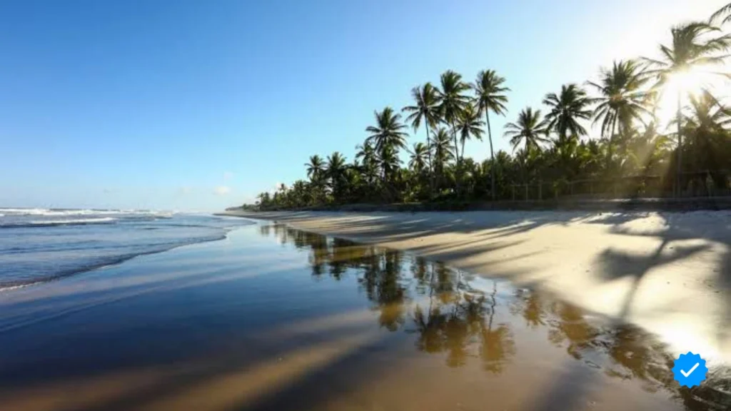 spirit vine brasil retrata ayahuasca- Itacaré Bahia