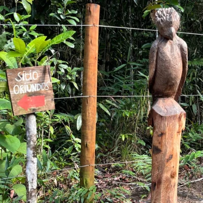 retiro na Bahia- retreat ayahuasca in the jungle Sitio dos oriundos