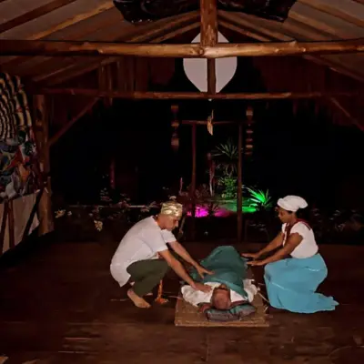 retreat ayahuasca in the jungle brasil