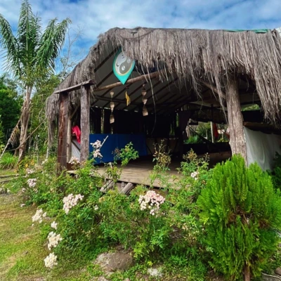 ayahuasca retreat for healing and self-awareness